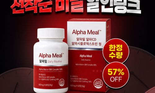 본문 이미지 45